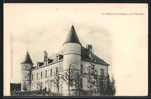 AK Saugny, Le Château de Saugey, près Gacogne