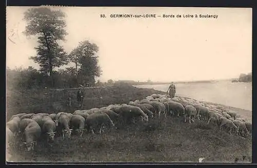 AK Germigny-sur-Loire, bords de Loire à Soulangy avec un troupeau de moutons et des bergers