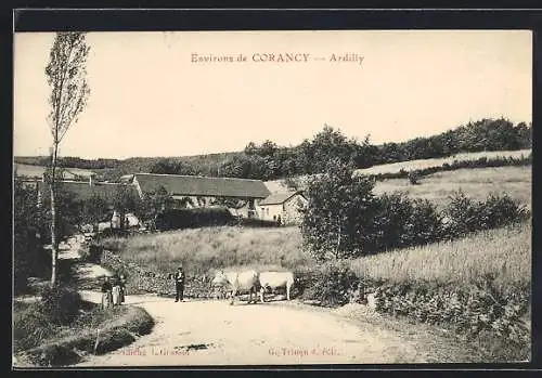 AK Ardilly, Panorama