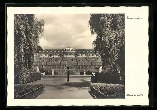 Foto-AK Max Baur, Nr. P 68: Potsdam, Sanssouci mit Terrassen