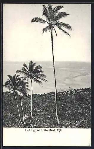 AK Fiji, Looking out to the Reef