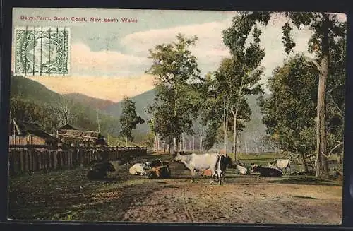 AK South Coast, N.S.W., Dairy Farm