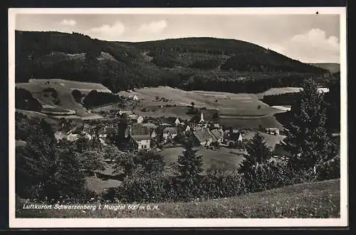 AK Landpoststempel Raumünzach über Forbach (B.)