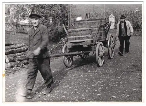 60 Fotografien H. Armster, Mainz, Winzer / Weinbauern bei der Weinernte, Weinlese, Wine Harvest, Wein-Verkostung ua.