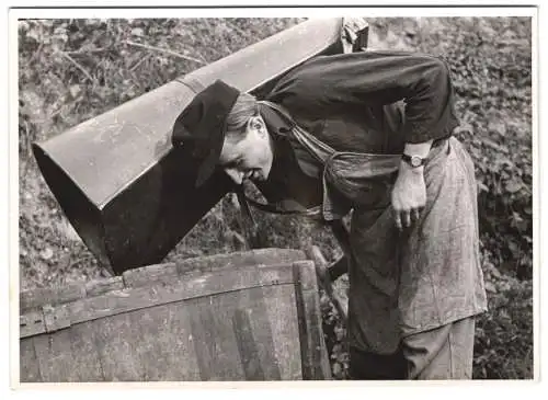 60 Fotografien H. Armster, Mainz, Winzer / Weinbauern bei der Weinernte, Weinlese, Wine Harvest, Wein-Verkostung ua.