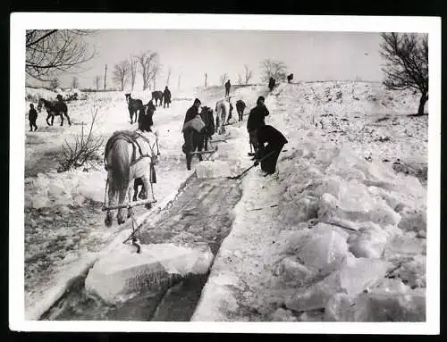 Fotografie Schostal, Ansicht Bukarest, Rumänische Bauern beim Eistransport am Stadtrand 1940