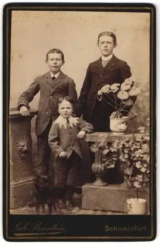 Fotografie Gebr. Brändlein, Schweinfurt, Drei Jungen in Anzügen neben einem Blumenarrangement