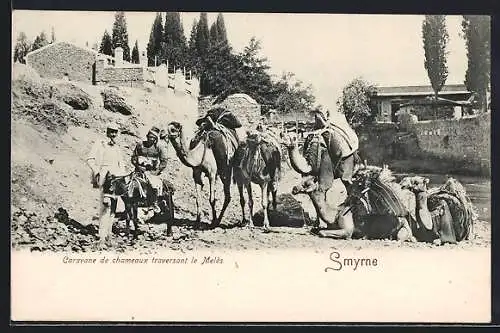 AK Smyrne, caravane de chameaux traversant le Melès, Kamele