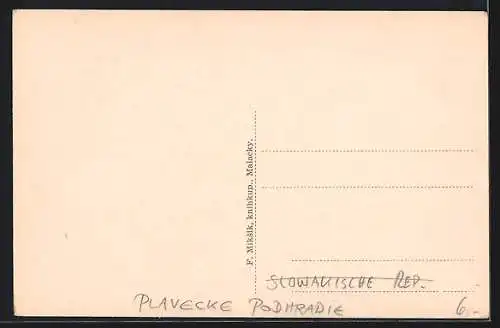 AK Plavecke Podhradie, Burgruine, Landstrasse und Ortsansicht