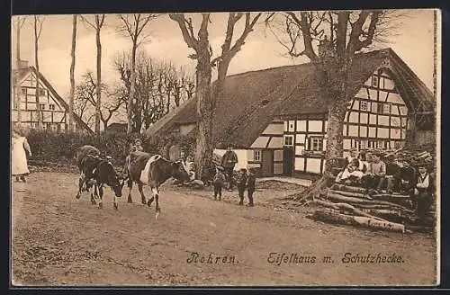 AK Rohren, Eifelhaus mit Schutzhecke