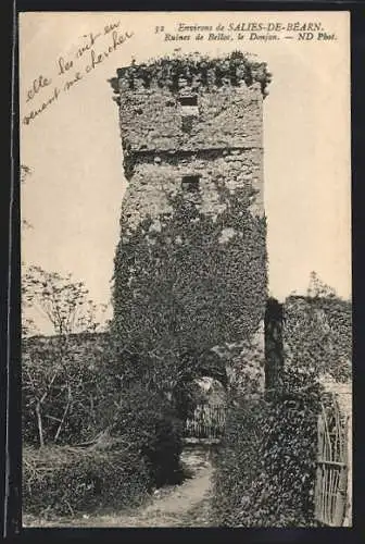 AK Salies-de-Béarn, ruines de Belloc, le donjon