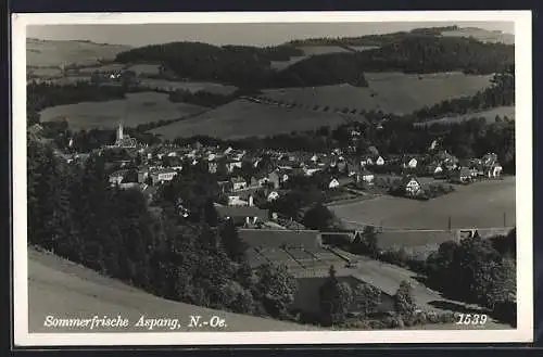 AK Aspang /N.-Oe., Totalansicht von einen Berg aus