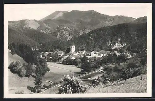AK Türnitz, Ortsansicht von einen Berg aus