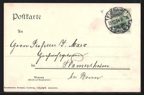 AK Karlsruhe, Blick vom Schloss aus