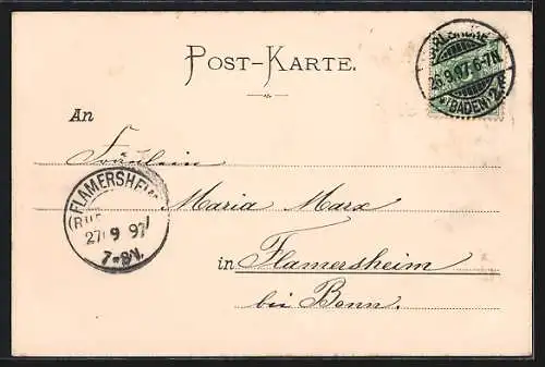 AK Karlsruhe, Partie aus dem Schlossgarten