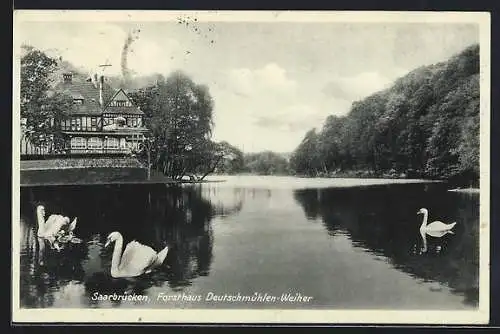 AK Saarbrücken, Forsthaus Deutschmühlen-Weiher mit Schwänen