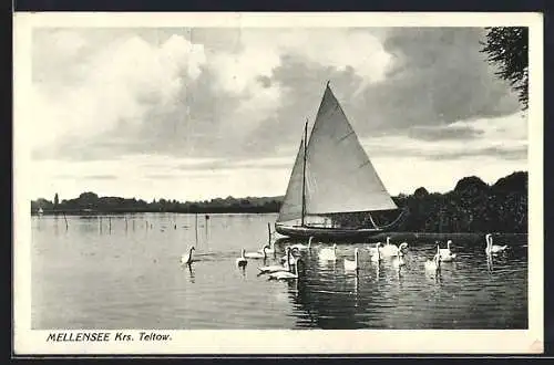 AK Mellensee Krs. Teltow, Segelboot und Schwäne auf dem See