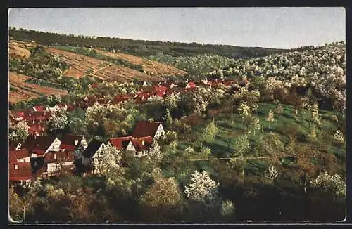 AK Strümpfelbach, Gesamtansicht zur Kirchscnblüte