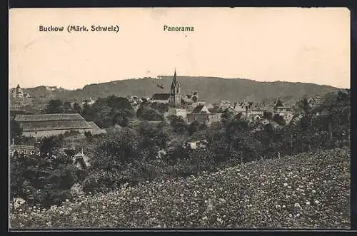 AK Buckow /Märk. Schweiz, Panorama von einen Berg aus