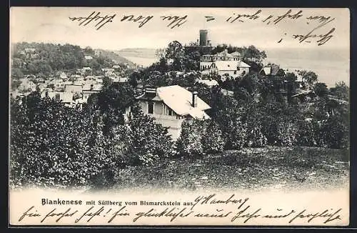 AK Hamburg-Blankenese, Ansicht mit Süllberg vom Bismarckstein aus