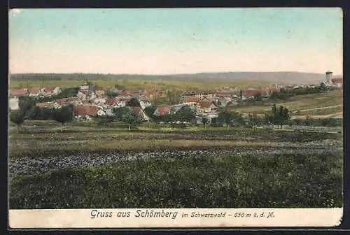 AK Schömberg im Schwarzwald, Gesamtansicht von einem Feld aus