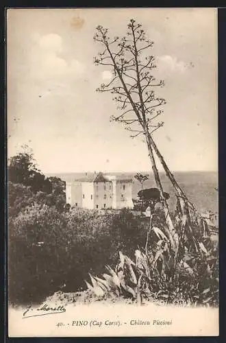 AK Pino /Cap Corse, Château Piccioni