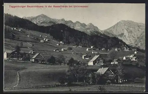 AK Toggenburg, Toggenburger Bauernhäuser in der Nesselhalde