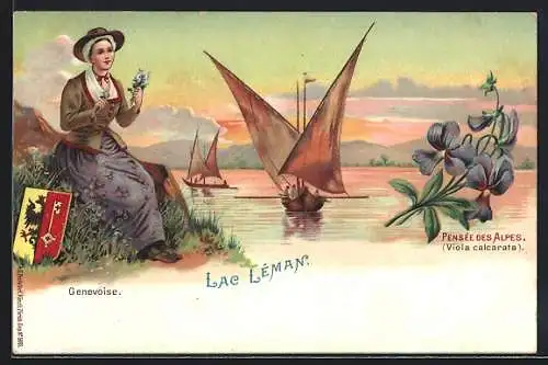 Lithographie Schweiz, Genevoise, Lac Léman, Pensée des Alpes