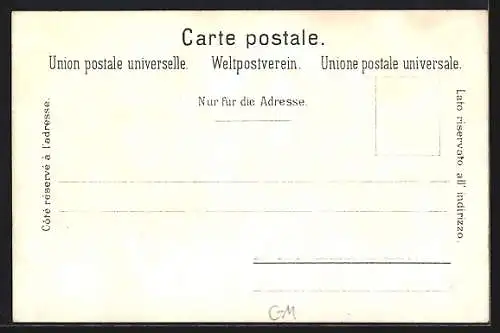 Lithographie Schweiz, Genevoise, Lac Léman, Pensée des Alpes