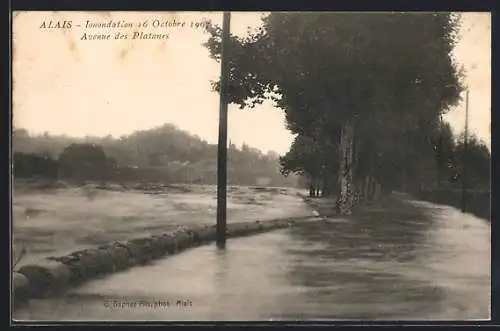 AK Alais, Inondation 16.10.1907, avenue des platanes, Hochwasser