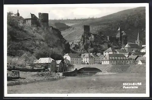 AK Esch-Sure, Panorama