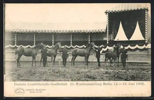 AK Berlin, Wanderausstellung der Deutschen Landwirtschafts-Gesellschaft 1906, Pferdedressur