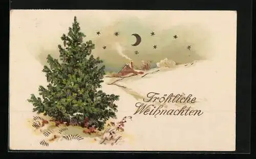 AK Fröhliche Weihnachten, Winterlandschaft mit Tannenbaum