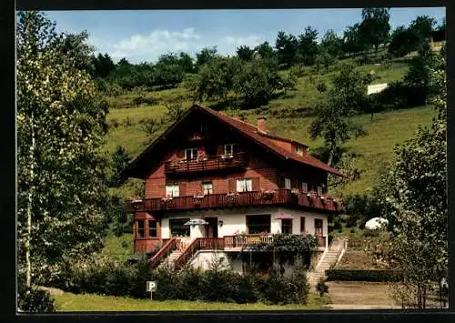 AK Schönau b. Heidelberg, Café-Pension Haus am Schafbach, Bes. K. Gärtner