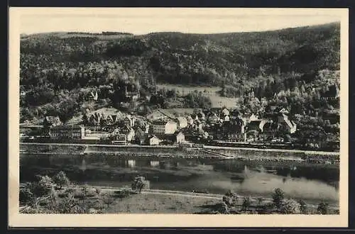 AK Heidelberg-Schlierbach, Gesamtansicht am Fluss