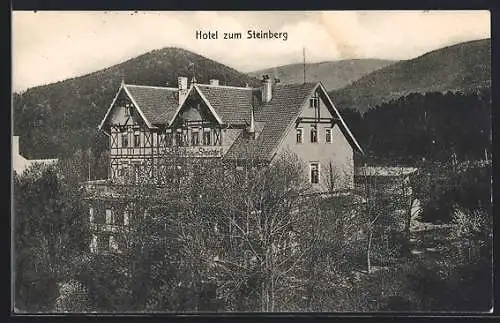 AK Wernigerode-Hasserode, Hotel-Pension zum Steinberg