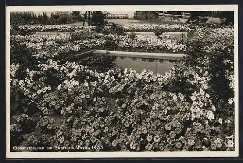 AK Berlin, Sommerblumen am Funkturm 1935