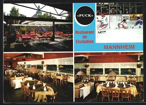 AK Mannheim, Restaurant Puck Fam. Kaiser im Eisstadion, Bismarckstrasse 6