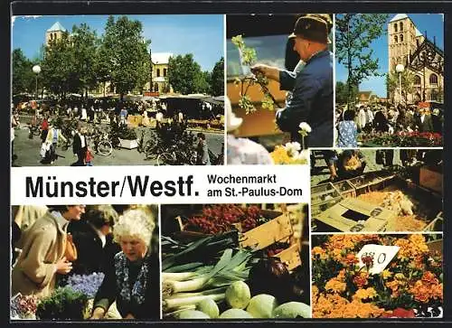 AK Münster i. W., Wochenmarkt am St. Paulus-Dom