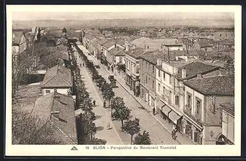 AK Blida, Perspective du Boulevard Trumelet