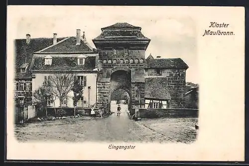 AK Maulbronn, Kloster mit Eingangstor und Kindern