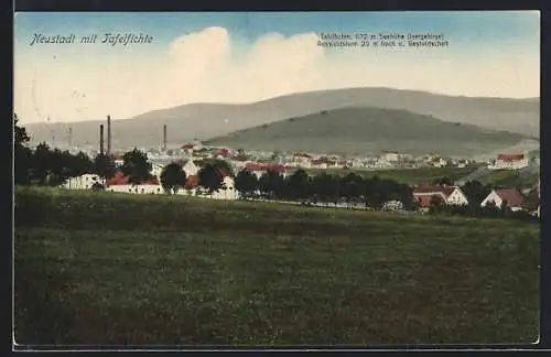 AK Neustadt, Ortsansicht mit Tafelfichte