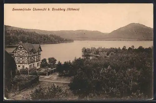 AK Thammühl / Böhmen, Blick über Bäume zum See