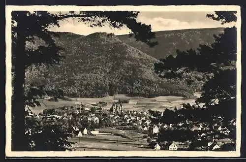 AK Haindorf / Hejnice, Gesamtansicht vom Wald aus