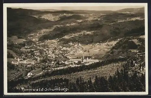 AK Tannwald-Schumburg, Gesamtansicht mit Umgebung