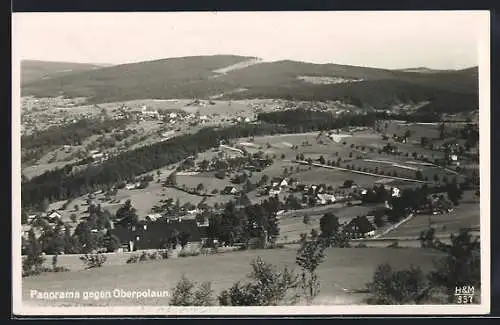 AK Oberpolaun, Panorama gegen Oberpolaun