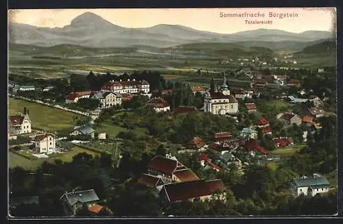 AK Bürgstein, Totalansicht aus der Vogelschau