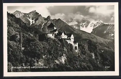 AK Vaduz, Schloss