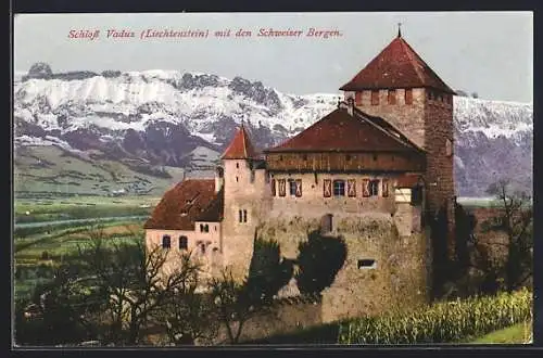 AK Vaduz, Partie am Schloss mit Blick nach den Schweizer Alpen