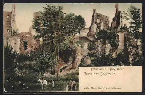 AK Boskowitz, Partie aus der Burg-Ruine